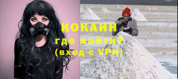 дживик Пересвет