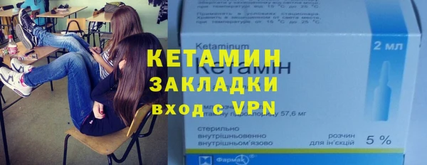 дживик Пересвет
