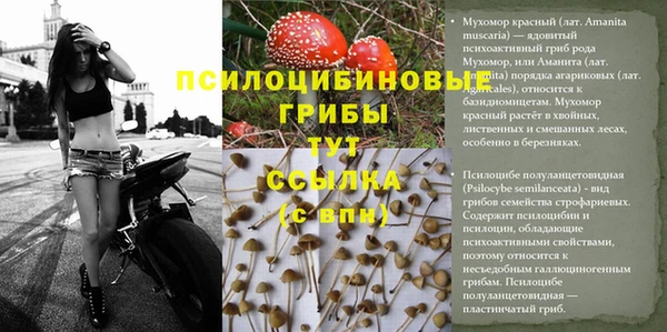 дживик Пересвет