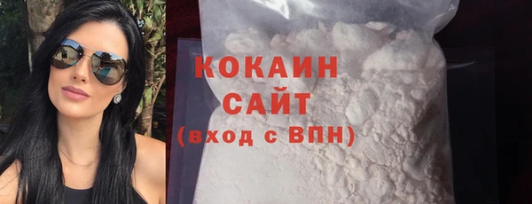 дживик Пересвет