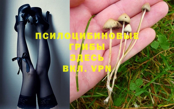 прущая мука Пестово