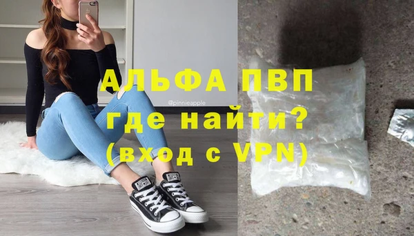 дживик Пересвет