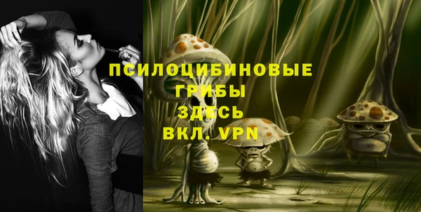 дживик Пересвет