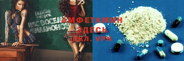 дживик Пересвет