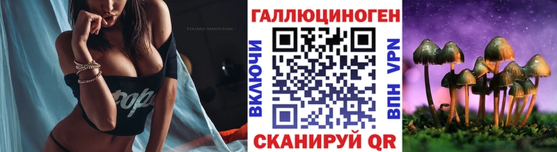 цена наркотик  Ахтырский  Галлюциногенные грибы Psilocybine cubensis 